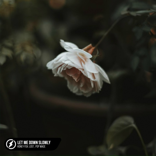 Обложка: Honeyfox, lost., Pop Mage - Let Me Down Slowly
