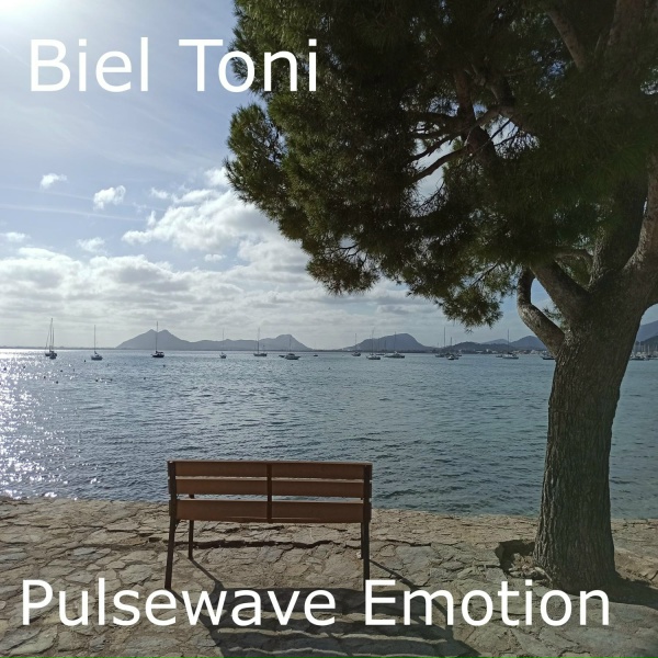 Обложка: Biel Toni - Silent Constellations