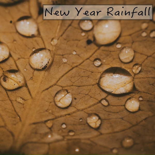 Обложка: Rain Sounds - Northern Rain