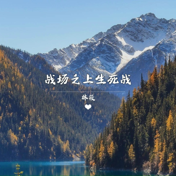 Обложка: 林筱 - 战场之上生死战