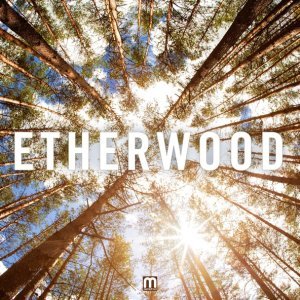 Обложка: Etherwood - Souls Apart
