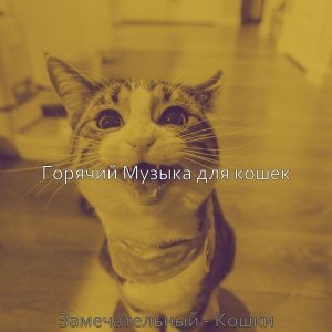 Обложка: Горячий Музыка для кошек - Звуки (Кошки)