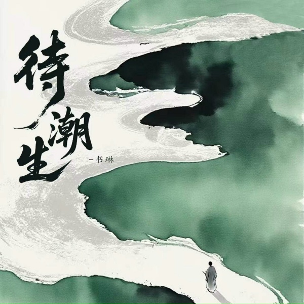 Обложка: 书琳 - 待潮生