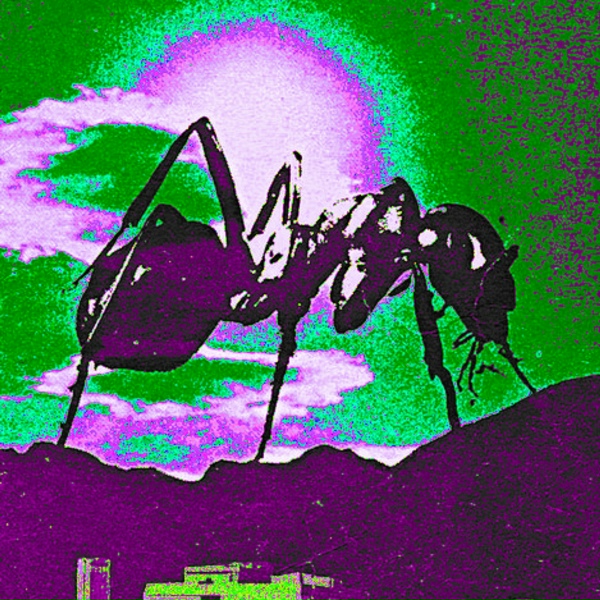 Обложка: Black Ant - Akis