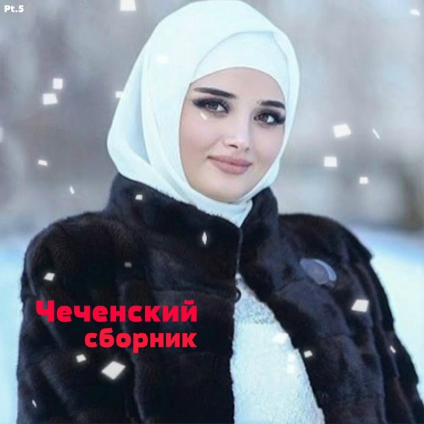 Обложка: Лема Темирбулатов - Ахьмад