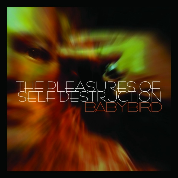 Обложка: Babybird - Beautiful Haze