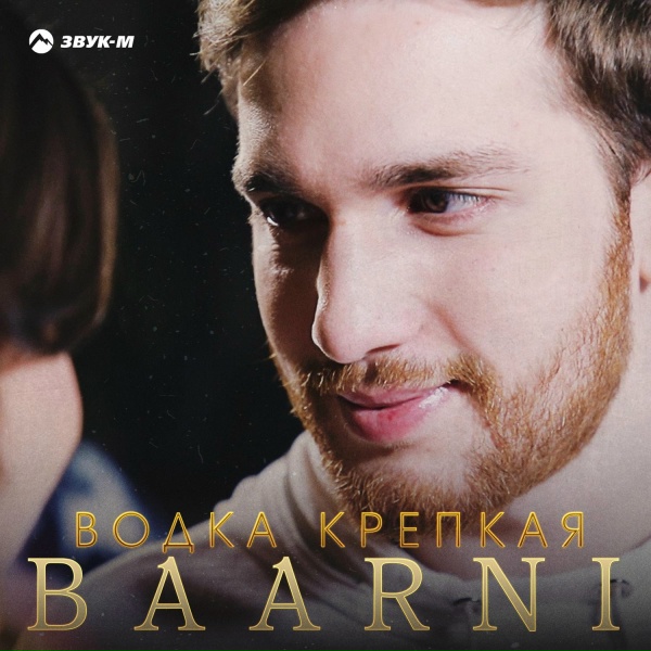 Обложка: Baarni - Водка крепкая