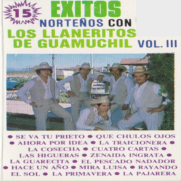 Обложка: Los Llaneritos De Guamuchil - La Traicionera