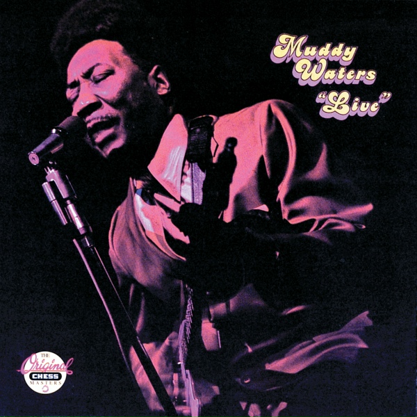 Обложка: Muddy Waters - Nine Below Zero