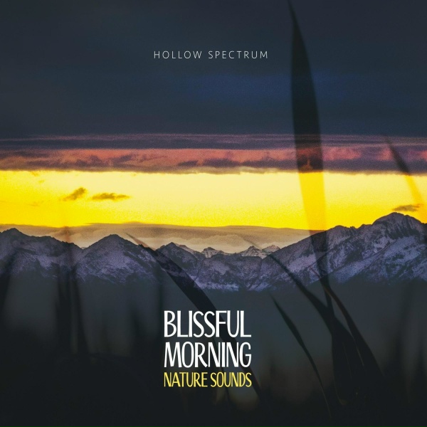 Обложка: Hollow Spectrum - Happy Birdsong