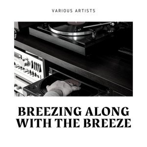 Обложка: Lovie Austin and Her Blues Serenaders - Charleston Mad