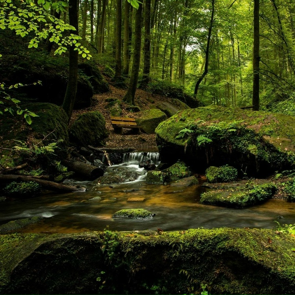 Обложка: Regengeräusche, PowerThoughts Meditation Club, Natural Samples - Shower Raindrops