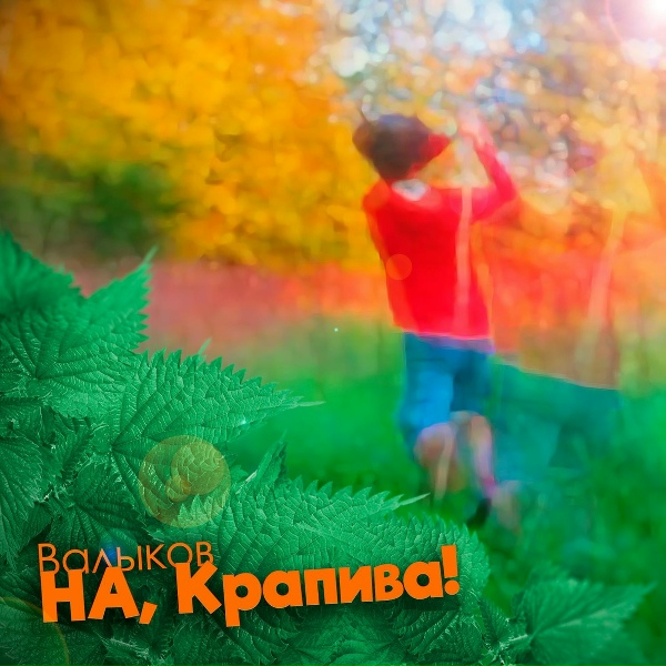 Обложка: Валыков - НА, Крапива!