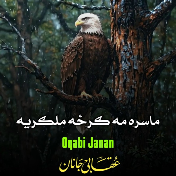 Обложка: Oqabi Janan - مجاهد ملا عمر