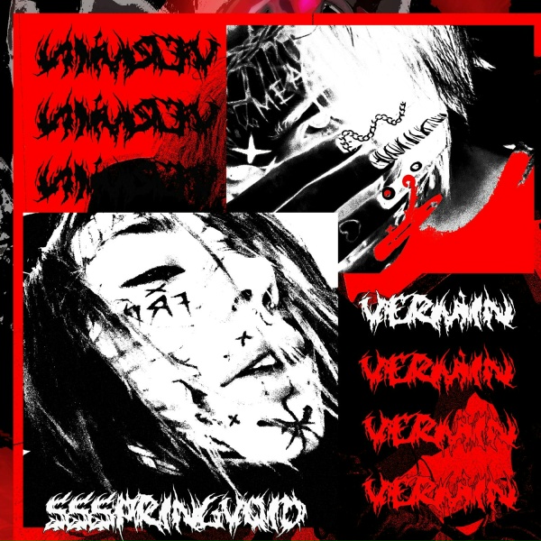 Обложка: ssspringvoid - Vermin