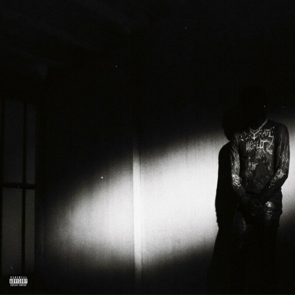 Обложка: Destroy Lonely - NOSTYLIST