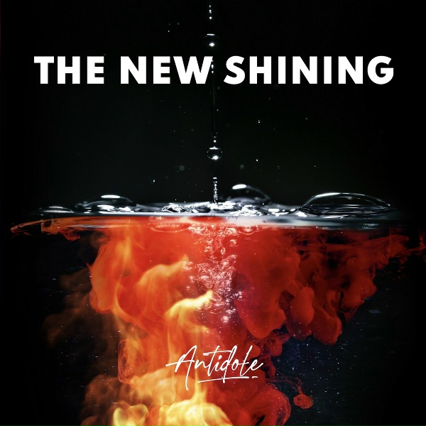 Обложка: The New Shining - Thief