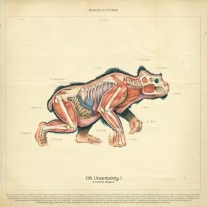 Обложка: Blood Cultures - Broadcasting