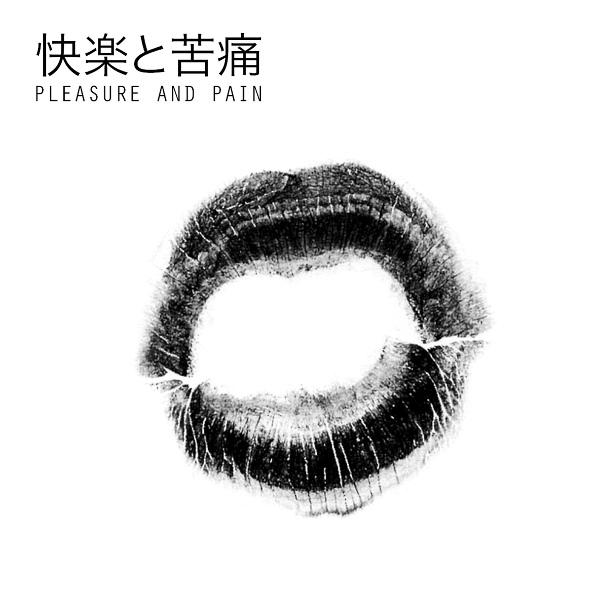 Обложка: Djedjotronic feat. Miss Kittin - Pleasure & Pain
