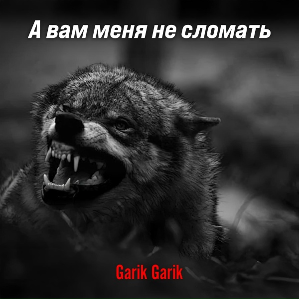 Обложка: Garik Garik - А вам меня не сломать