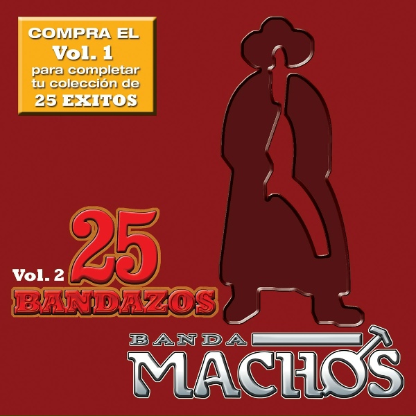 Обложка: Banda Machos - Mi Chica Ideal