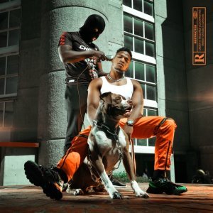 Обложка: Niska feat. Booba - Medicament
