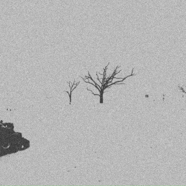 Обложка: Paranoia Critical - The Footage Was Found
