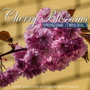 Обложка: Richard Bonnee - Beauty Minds