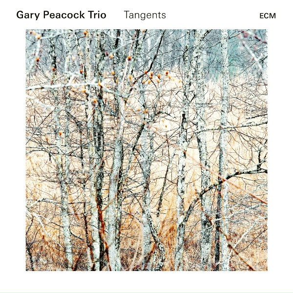 Обложка: Gary Peacock Trio - Talkin' Blues