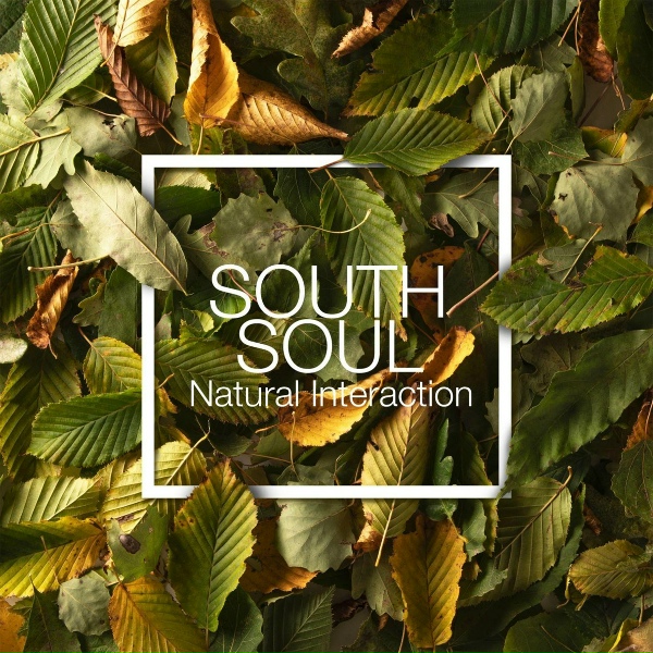 Обложка: South Soul - Fragile