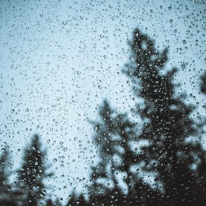 Обложка: Белый шум для детей - Детский сон. Стук дождя