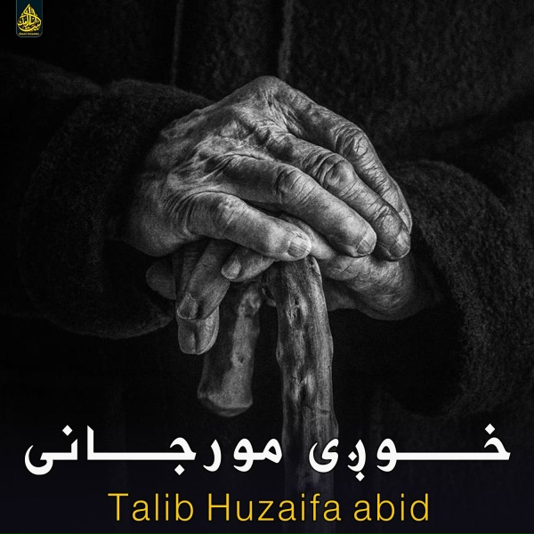 Обложка: Talib Huzaifa abid - زموږ امیر