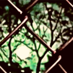 Обложка: saraunh0ly - wutiwant