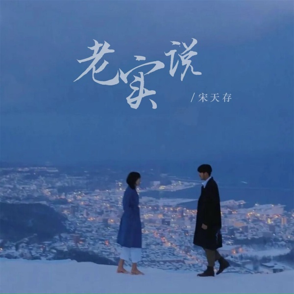 Обложка: 宋天存 - 老实说