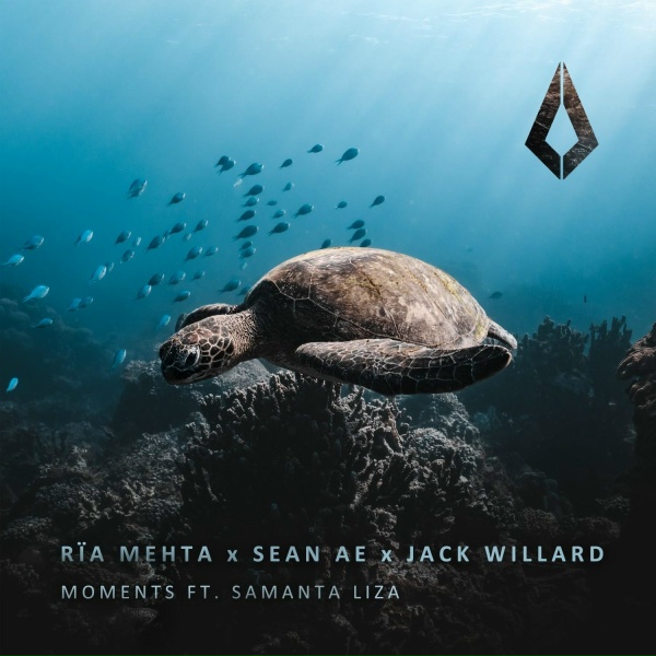 Обложка: Rïa Mehta, Sean Ae, Jack Willard feat. Samanta Liza - Moments