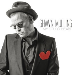 Обложка: Shawn Mullins - Ferguson