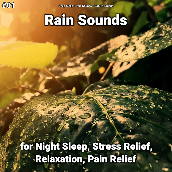 Обложка: Deep Sleep, Rain Sounds, Nature Sounds - Rain Sounds for Deep Sleep