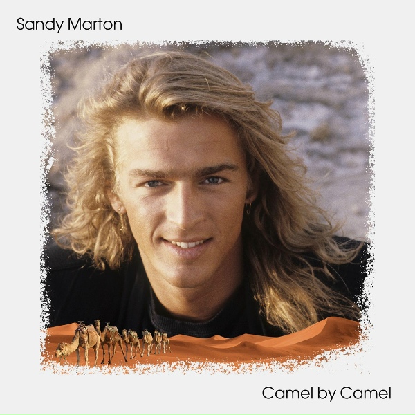 Обложка: Sandy Marton - Camel by Camel