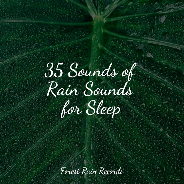 Обложка: Nature and Rain, nature & Sounds Background, Lightning - Constant Rains
