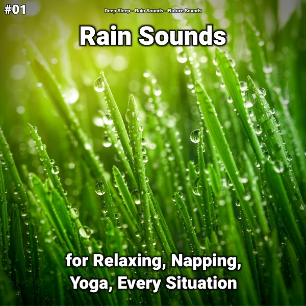 Обложка: Deep Sleep, Rain Sounds, Nature Sounds - Sleep Sounds