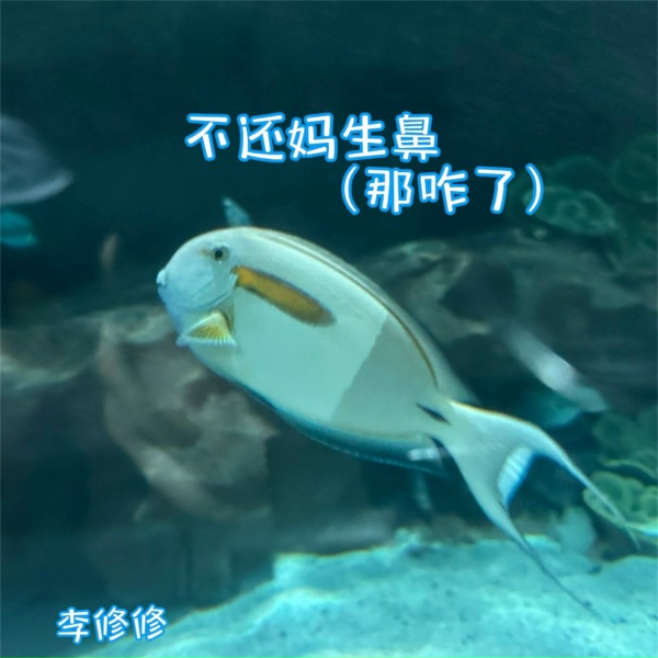 Обложка: 李修修 - 祝你