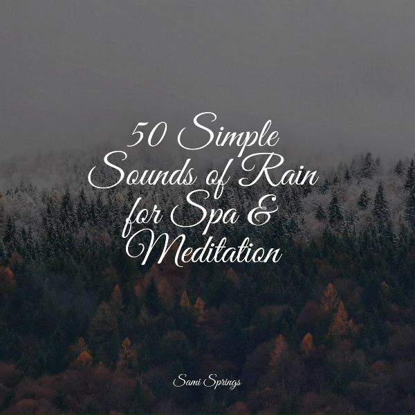 Обложка: Music for Absolute Sleep, Entspannungsmusik, Música Zen Relaxante - Swelling Tide Ocean Waves
