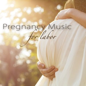 Обложка: Pregnancy Soothing Songs Masters - Pregnancy