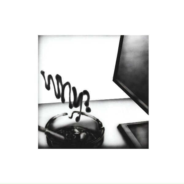 Обложка: Fish Narc, Lil Tracy, Fantasy Camp feat. Lil Zubin - Why?