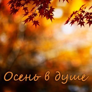 Фото: Иван Дорн