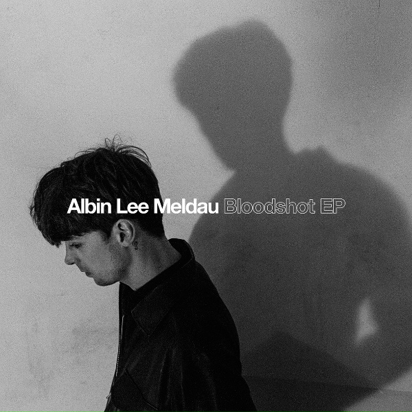 Обложка: Albin Lee Meldau - Persistence