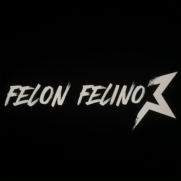 Обложка: Felon Felino - Corações Assombrados