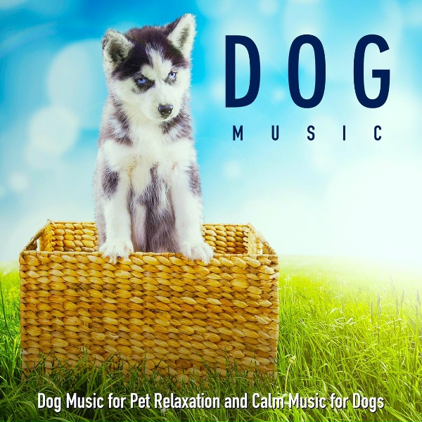 Обложка: Dog Music - Music for Your Dog While You're Away
