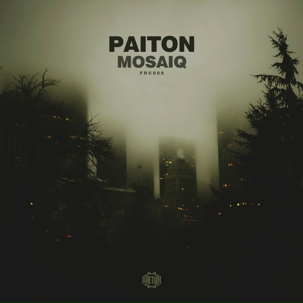 Обложка: Paiton - Wasteland