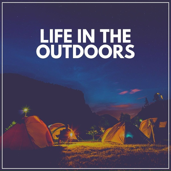 Обложка: The Outdoor Library - The Noise in the Open
